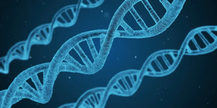 Mapping the DNA and paths to new medicine.
