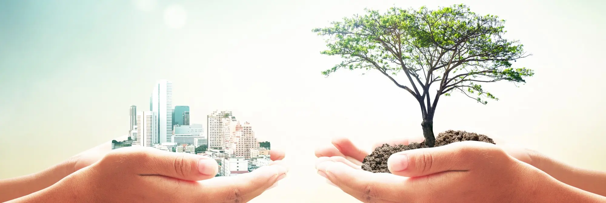 Sustentabilidade