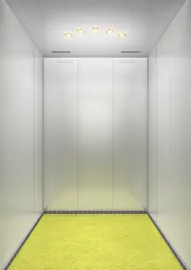 تصميم ليموني - خلفي
