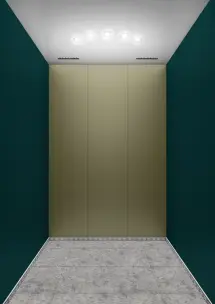 تصميم المحيط - خلفي