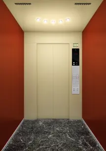 Thiết kế màu đồng - trước