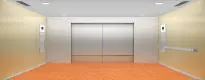 Modern Freshness - Tangerine Design