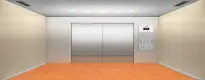 Modern Freshness - Tangerine Design
