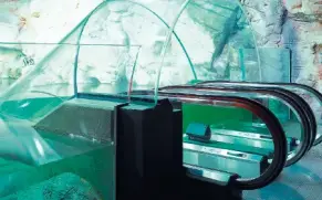 Ocean Aquarium in Shanghai, China