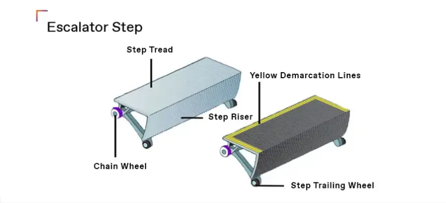 A diagram showing the key elements of an escalator step.