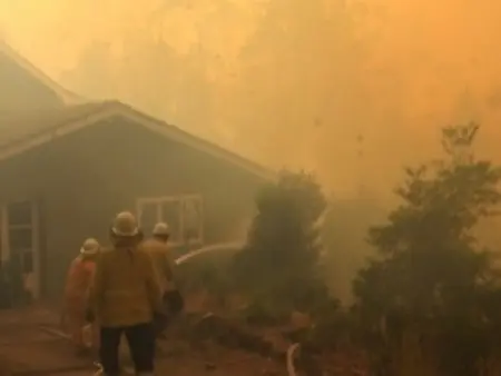 Tremendous economic, emotional and environmental impacts