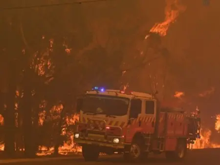 The fires remained for 150 days and the smog was everywhere